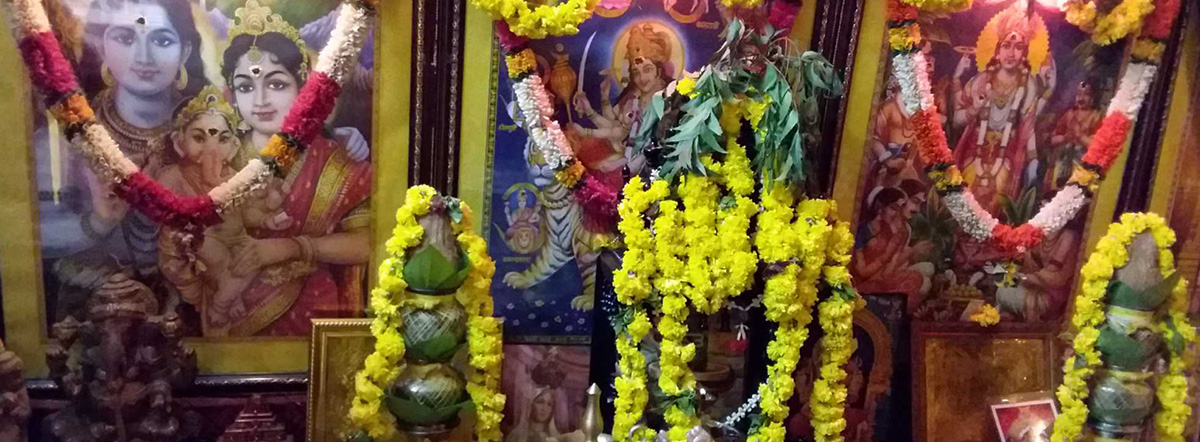 Famous Astrologer in C.V. Raman Nagar